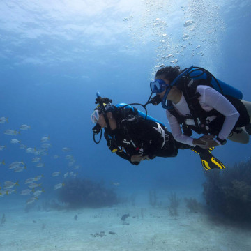TRY SCUBA DIVING IN THE...